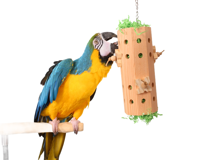 Activity Forager - Large Parrot Foraging Toy for Large Birds and some Medium Birds by Woodland Bird Toys