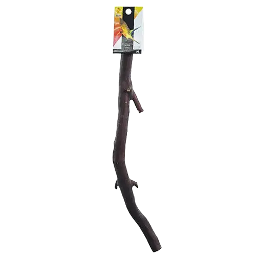 Bolt-on Manzanita perch medium size for medium size birds ~ approx. 15" x 1" Diameter by Caitec