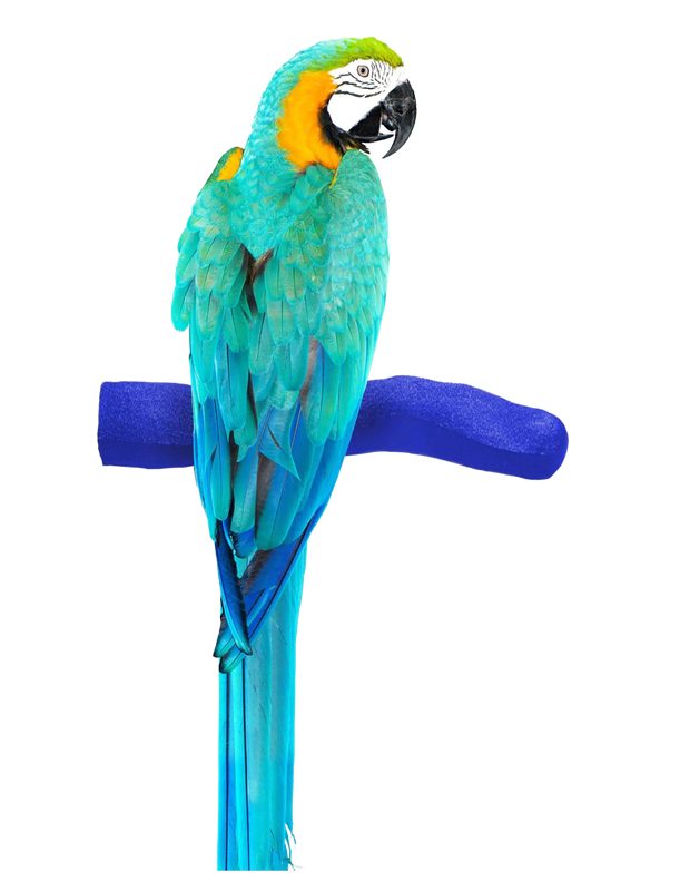 Safety Pumice Pedicure Perch - Extra Large 14"