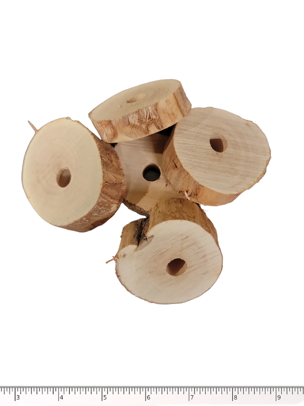 Dragonwood Slices - 5 Pack