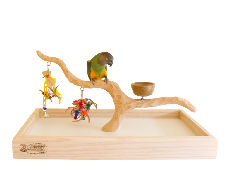 Deluxe Table Top Perfect Tree for Small Parrots and Parakeets - by Parrot Wizard