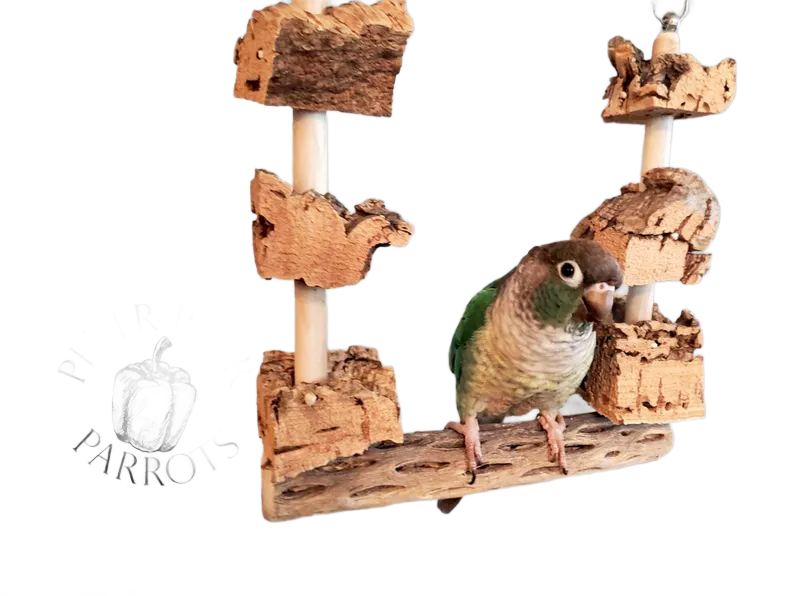 Cholla Swing with Cork by Peter Piper Parrots