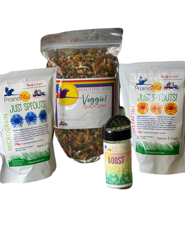 Dream Quick Soak Veggie and Sprout Bundle