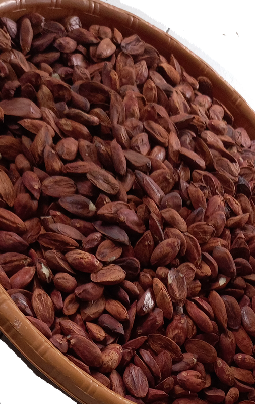 4 oz Shelled Kenari Nuts from Indonesia and by Indonesia Parrot Project -- Great for Medium and Large Size Birds!