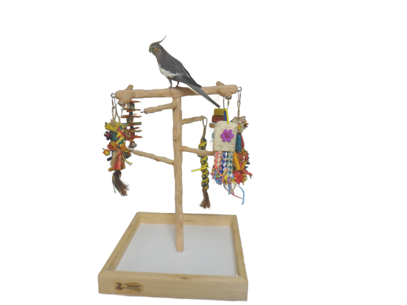 Small Tabletop Parakeet Tree for Small Parrots and Parakeets - by Parrot Wizard