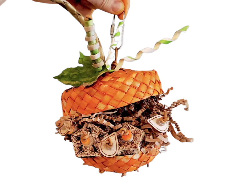 Stuffed Foraging Pumpkin Toy Standard Size by Peter Piper Parrots - Limited Edition