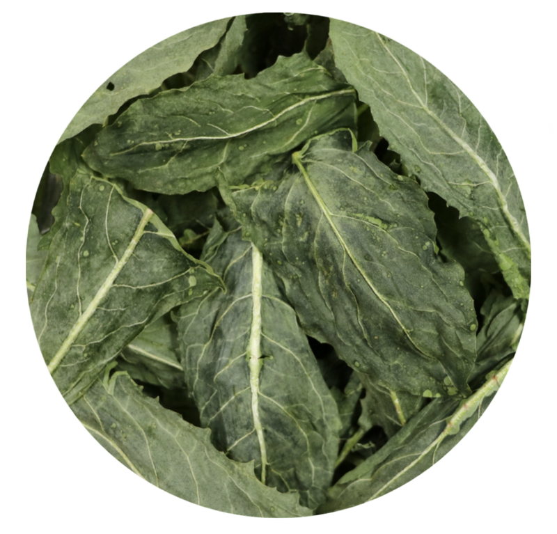 Big Foot Foodie™ Freeze Dried Dandelion Greens by myParrotopia®