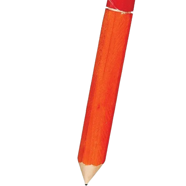 Medium Parrot Wooden Fatty Toy Pencil by Featherland Paradise