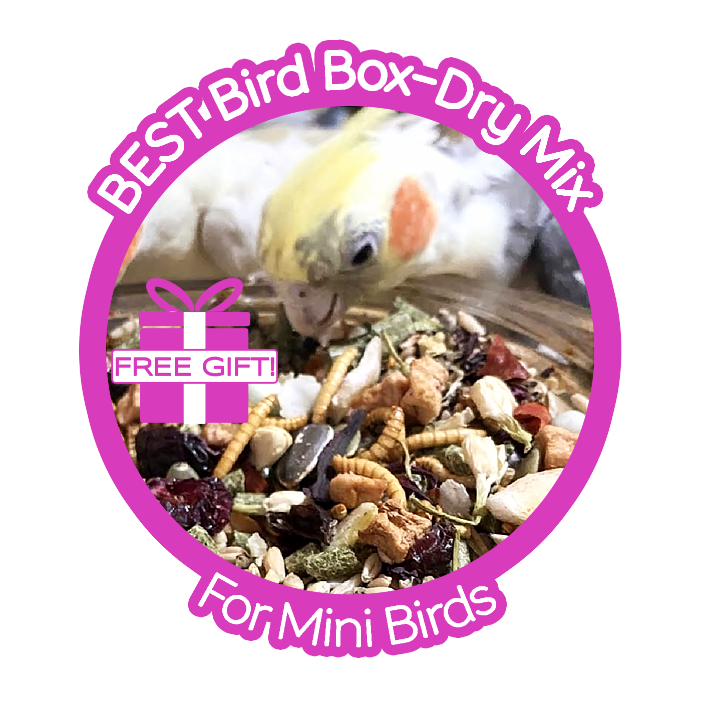 Thrive! Best Bird Box — Mini Birds (finches, canaries, cockatiels, budgies, parrotlets, love birds)