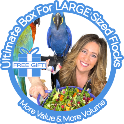 Thrive! ULTIMATE Box 4 LARGE Sized Flocks (any size birds) or 4 anyone wanting more value &amp; volume.