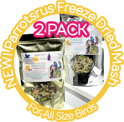 2 Pack NEW! Parrotsrus Freeze Dried Weekly Raw Food Mash -- Small Beak Blend -- You have asked me for years to offer my weekly raw food mash to buy, I am excited to say here it is!!! 2 Pack NEW! Parrotsrus Freeze Dried Weekly Raw Food Mash -- Small Beak Blend -- You have asked me for years to offer my weekly raw food mash to buy, I am excited to say here it is!!!