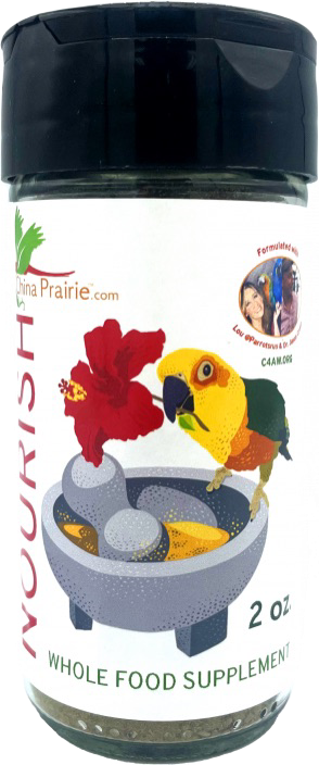 Nourish! Whole Food Supplement in Refillable Shaker