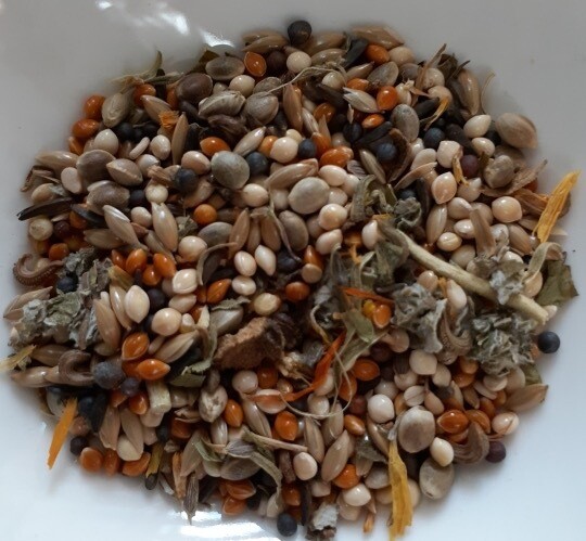 NEW! 1lb Delight! (Perfect for Finches, Canaries, Cockatiels, Budgies, Greys, Galahs) by China Prairie