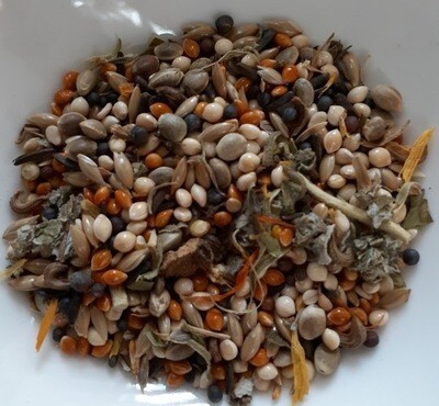 NEW! 1lb Delight! (Perfect for Finches, Canaries, Cockatiels, Budgies, Greys, Galahs) by China Prairie
