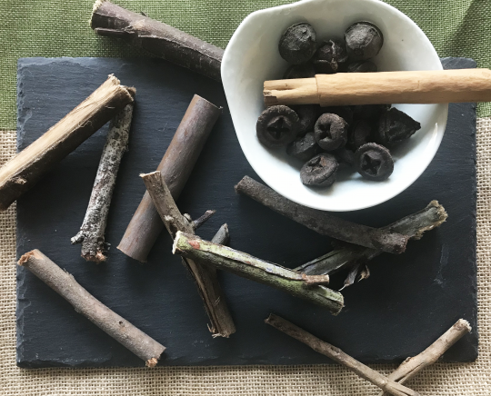 Eucalyptus Branches &amp; Pods and Ceylon Cinnamon