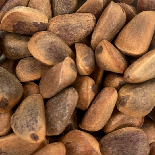 "Work-it!" - 8oz In Shell Pine Nuts by China Prairie