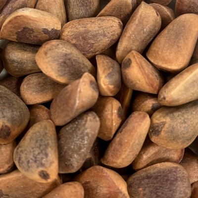 "Work-it!" - 8oz In Shell Pine Nuts by China Prairie