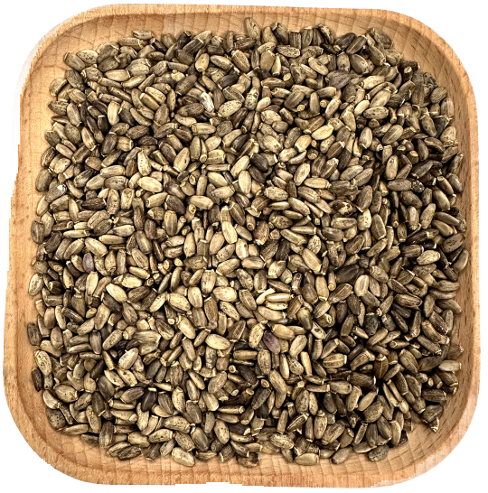 1Lb Organic Mighty Milk Thistle Seeds