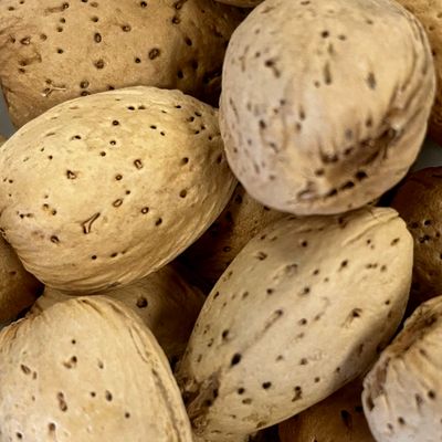 1 Lb in shell Almonds by Argires Snacks
