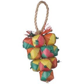 A Cluster of Grapes Shreddable Toy by Planet Pleasures