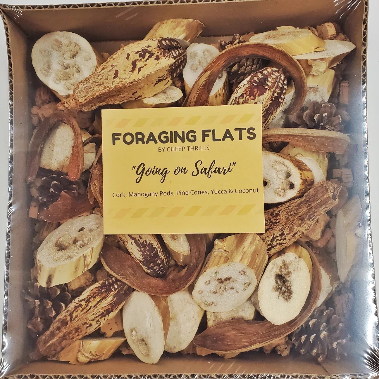 NEW! Going on Safari Foraging Flat by Cheap Thrills Bird Toys