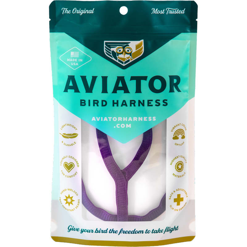 Aviator Harness and Leash - Color Purple