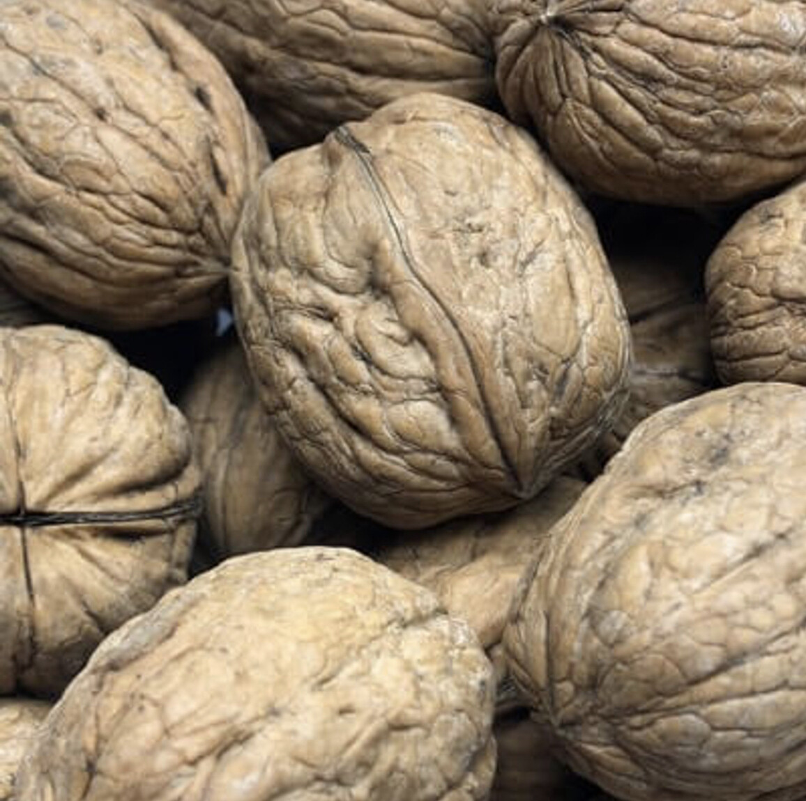 1 Lb in Shell Walnuts by Argires Snacks