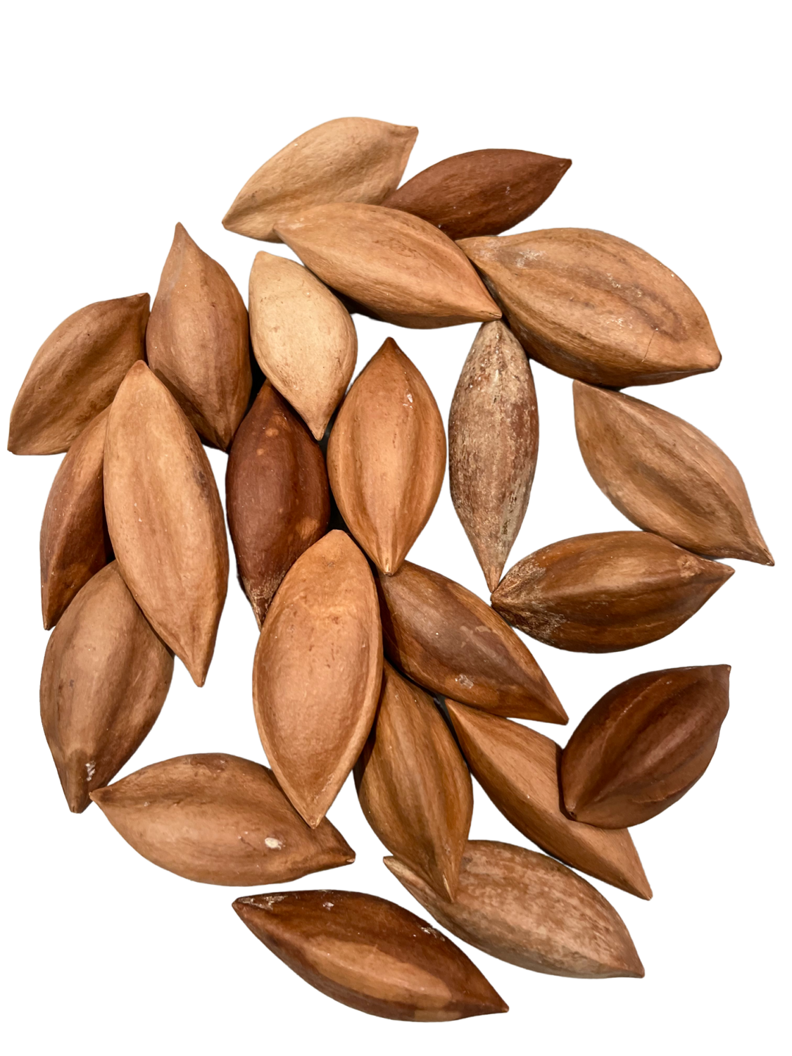8 oz In Shell Pili Nuts - Good for all Strong Beak Birds who love to crack open nuts!