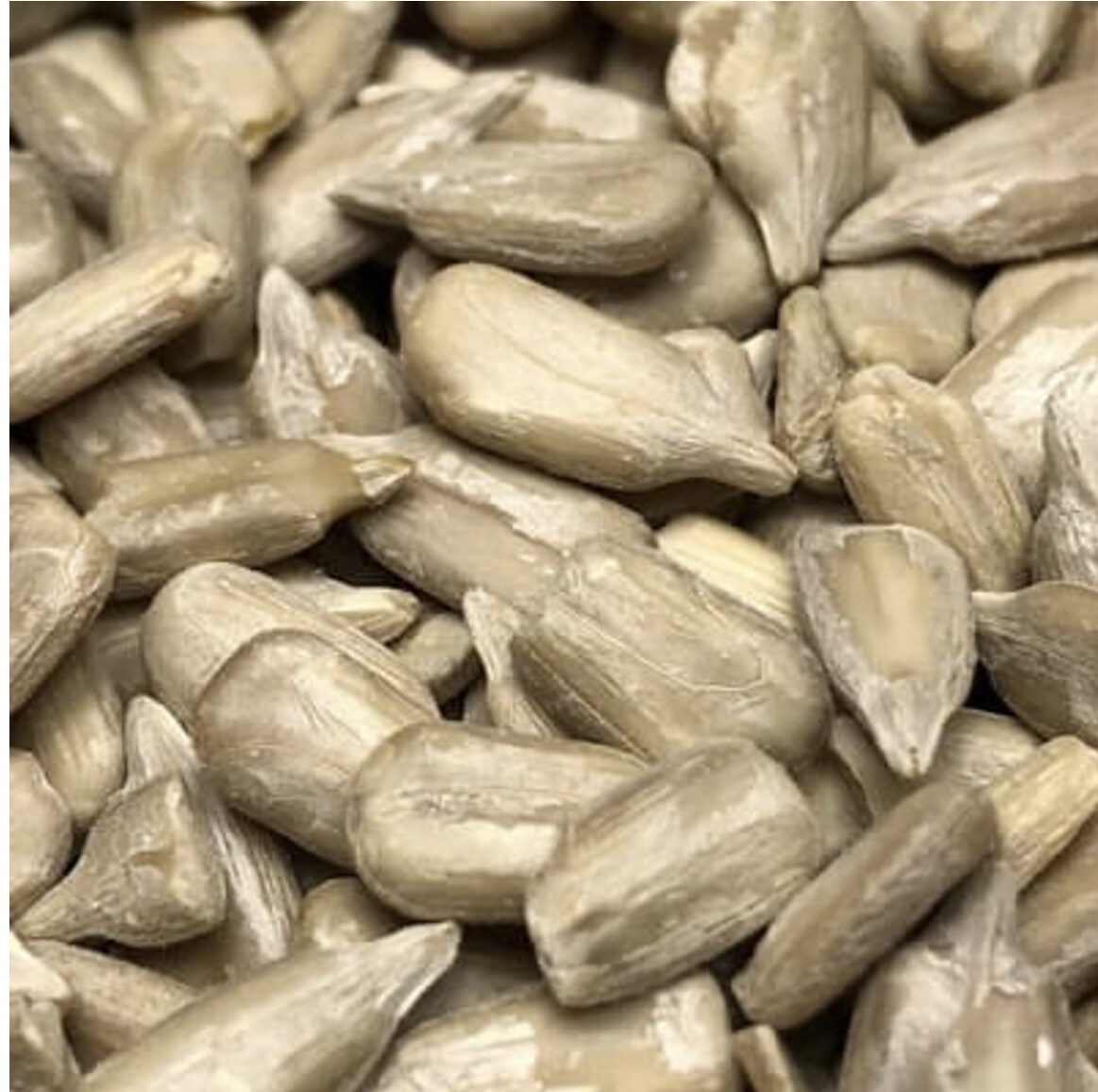 8 oz Raw Sunflower Kernels by Argires Snacks