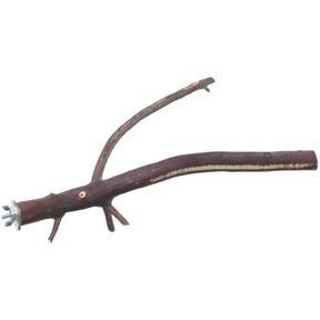 Bolt-on Fork Manzanita perch for tiny to medium size birds ~16"