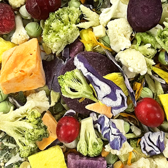 Freeze Dried Parrotsrus Raw Food Mash-Bigger Beaks SUMMER BLEND (1 cup) -- New TRY ME Size!!