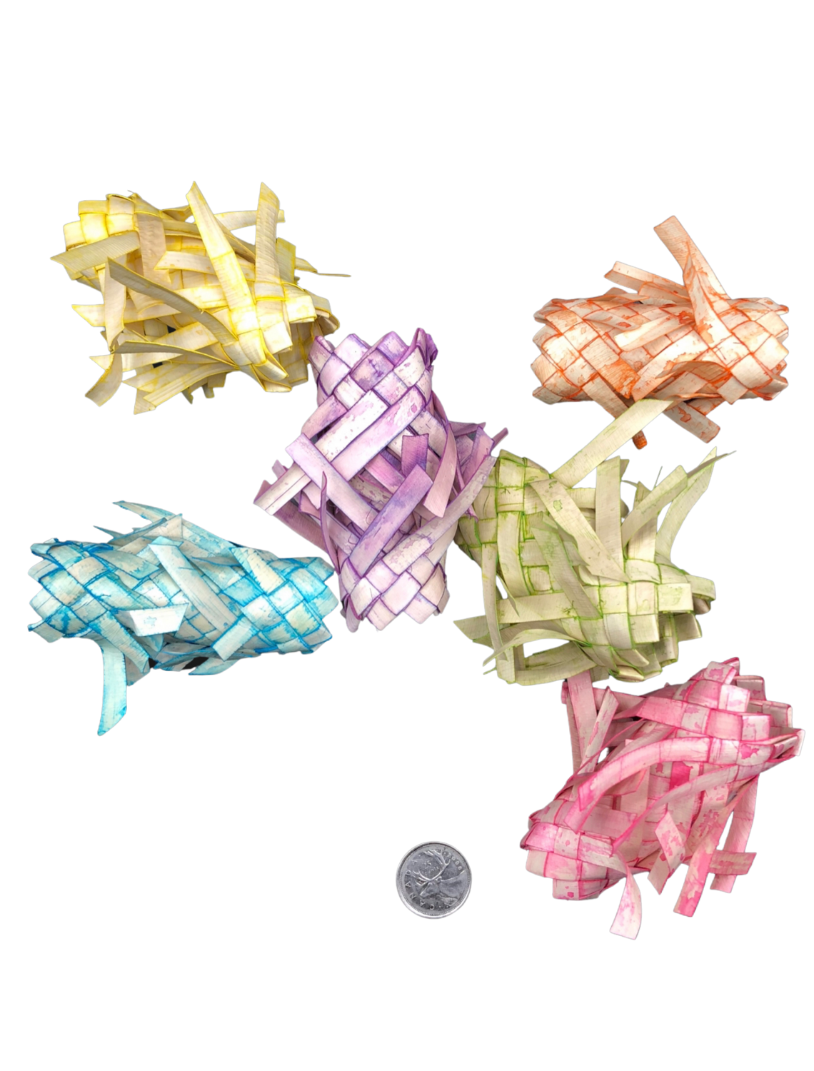 Colorful 3" Spiky Fat Palm Chews 5pc by Feathered Addictions