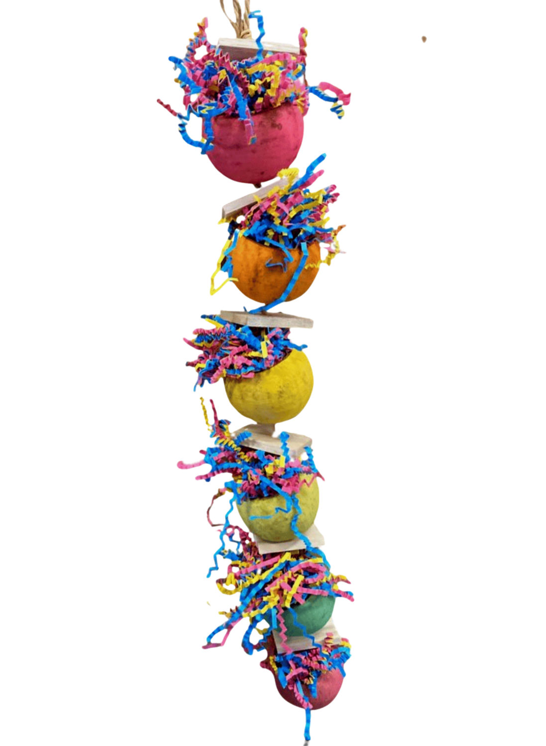 Potter Picker Forager - 6 Levels of Difficulty in 1 by Feathered Addictions