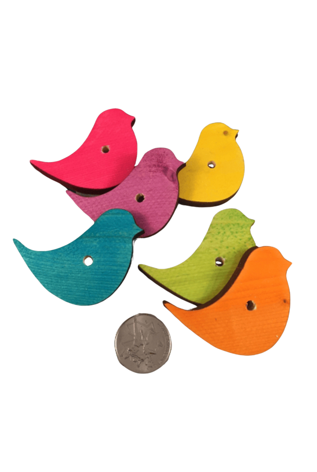 Little Birdies Canadian Pine Wood 6 Pack by Feathered Addictions