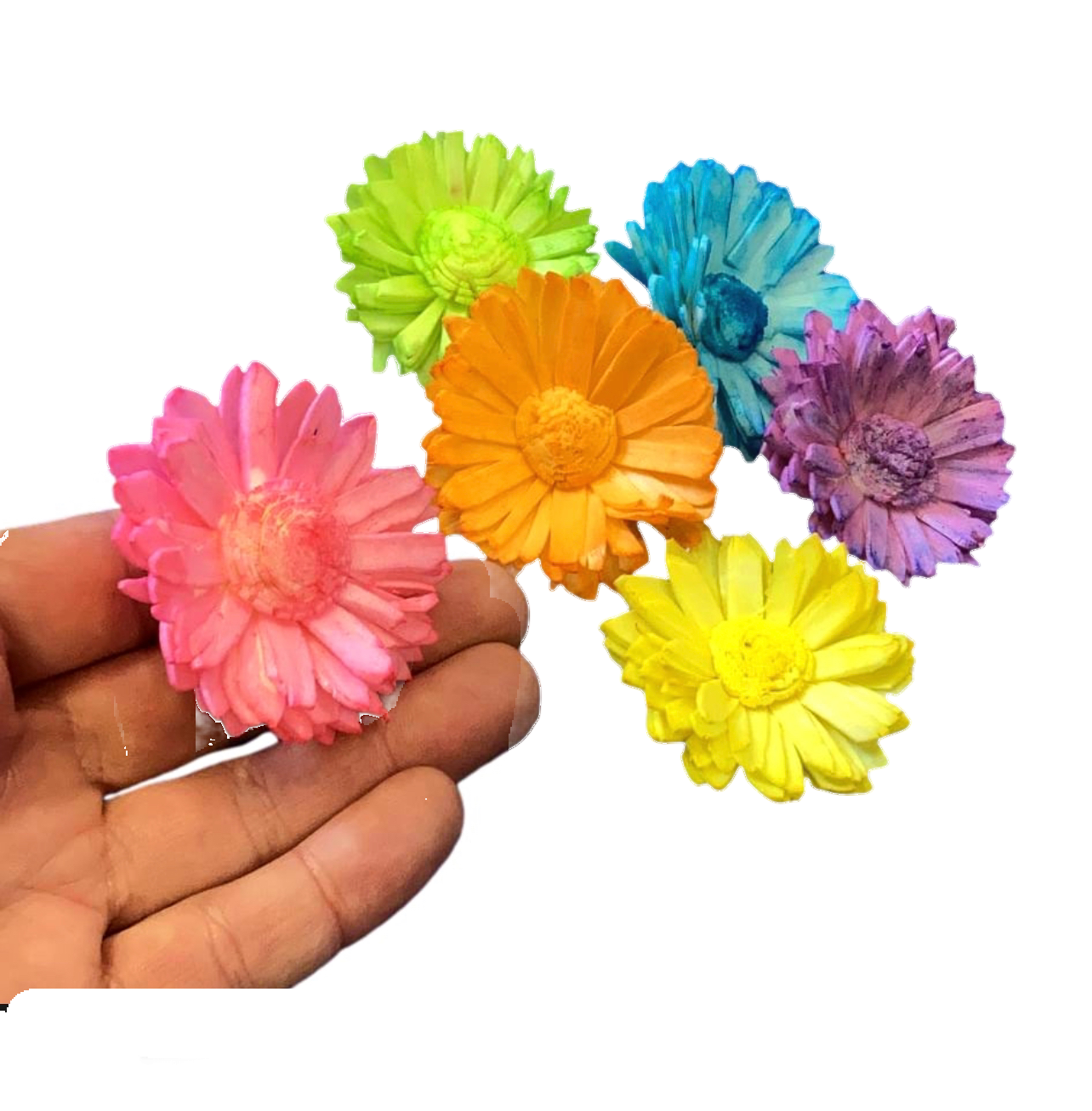 Mini Sola Daisies - 10 pc by Feathered Addictions