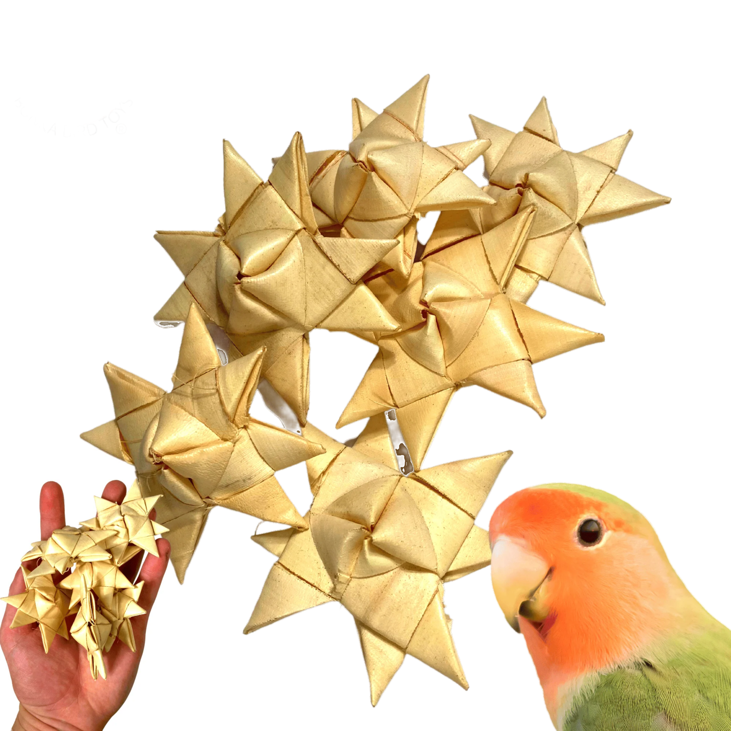 6 Pack Palm 3D Palm Stars