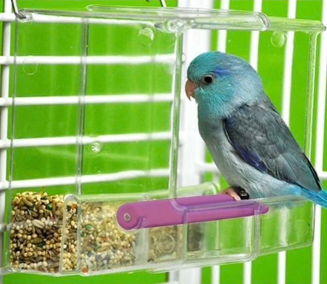 Tweeky Clean Tidy Seed Dispenser - Small