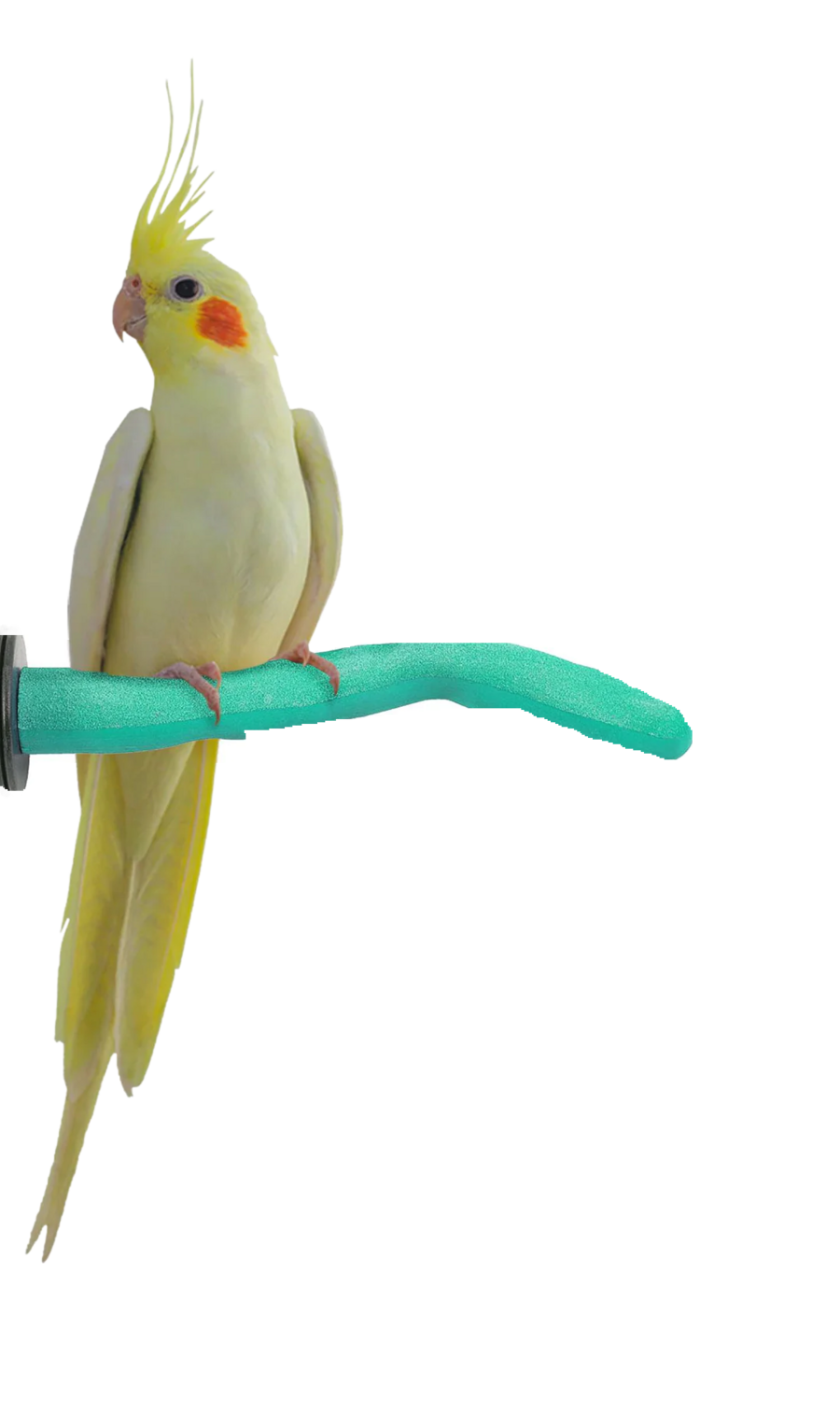 Safety Pumice Pedicure Perch - Small 8"