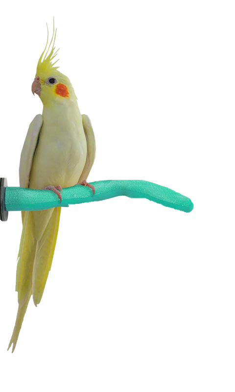 Safety Pumice Pedicure Perch - Small 8"