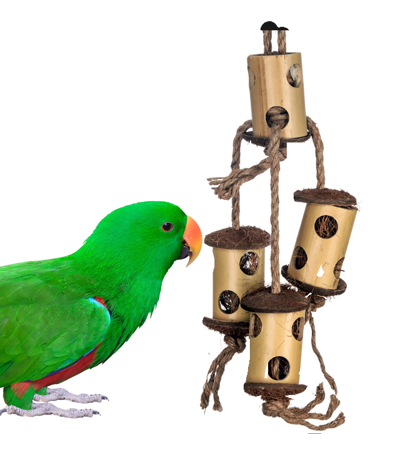 Bamboo Climb and Forage by Super Bird Creations