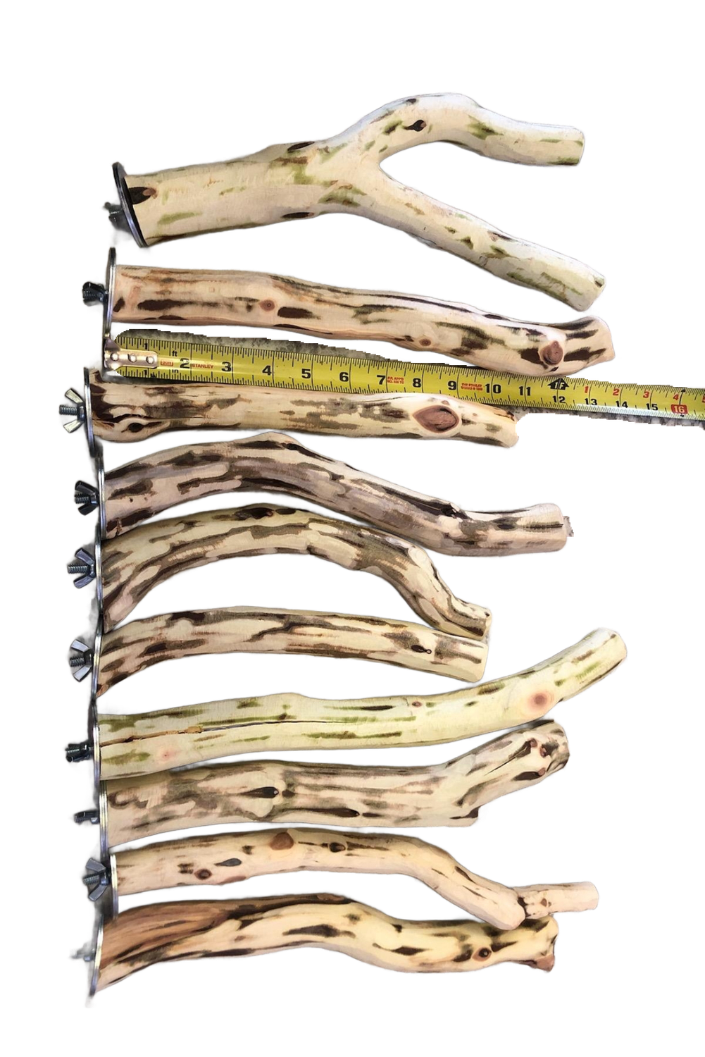 Manzanita add a perch medium  ~12" long