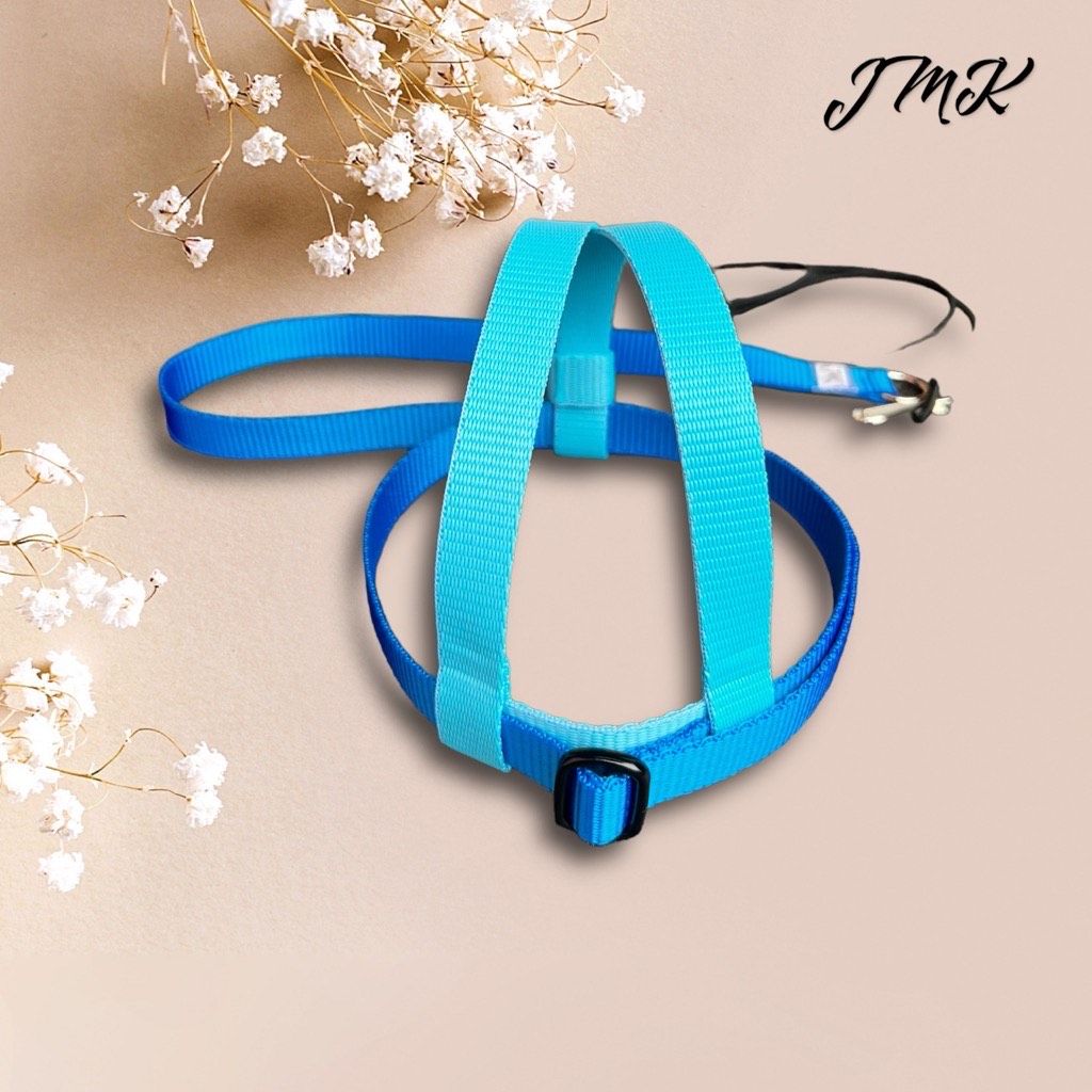 JMK Harness and Leash - Light Blue and Dark Blue, Size X-Large: 1100+ grams: Lg Moluccan, Green Winged Macaw, Hyacinth, Buffons
