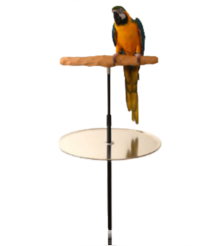 Training Perch Floor Stand with Potty Tray by the Parrot Wizard