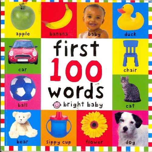 First 100 Words Book - Bright Baby