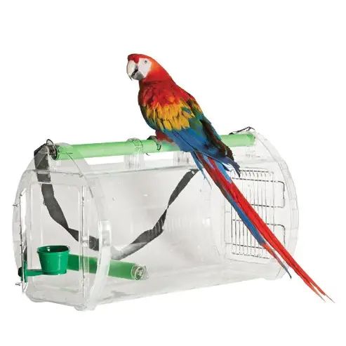 Perch &amp; Go Carrier for Large Birds - By Caitec