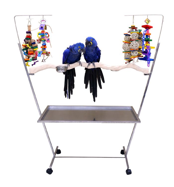 Large Stainless Steel Parrot Play Stand - Play Gym - Made in USA by The Parrot Wizard