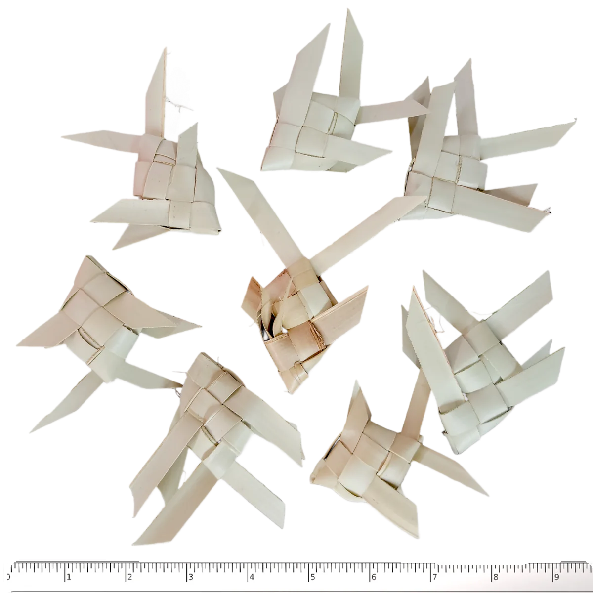 10 Pack Palm Leaf Fish by Cheep Thrills