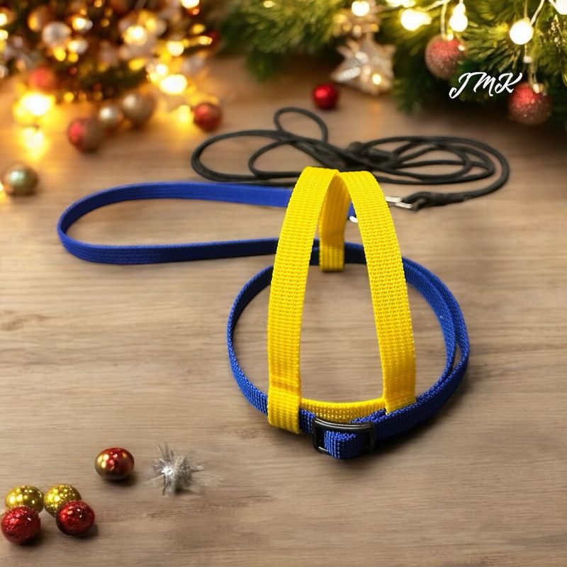 JMK Harness and Leash - Yellow and Royal Blue, Size Small: 190-425 grams Timneh Grey, Pionus, Galah, Yellow Nape Amazon