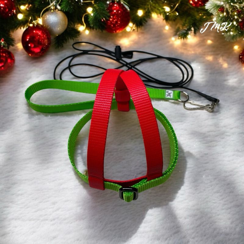JMK Harness and Leash - Color Bright Red with Bright Green, Size Large: 600-1100 grams: Lg Macaws, Triton, Sm. Moluccan, Black Palm, etc