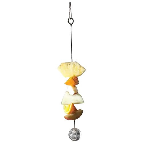 Working Lunch Stainless Steel Refillable Skewer by Featherland Paradise suitable for Medium and Large Birds